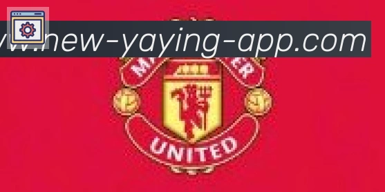 亚盈体育官网合作伙伴